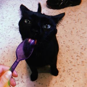 Meet your Posher, Parker